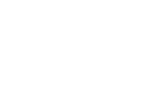 Q-Fin logo